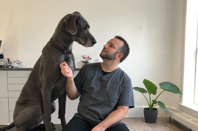 split sektion tandtjek 768x509