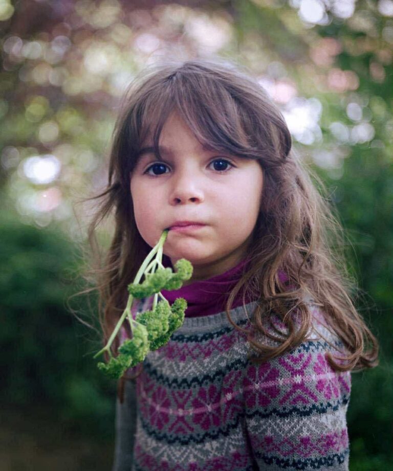 07c1ec93 f0e4 4244 8a70 647050e4f5d0 768x922