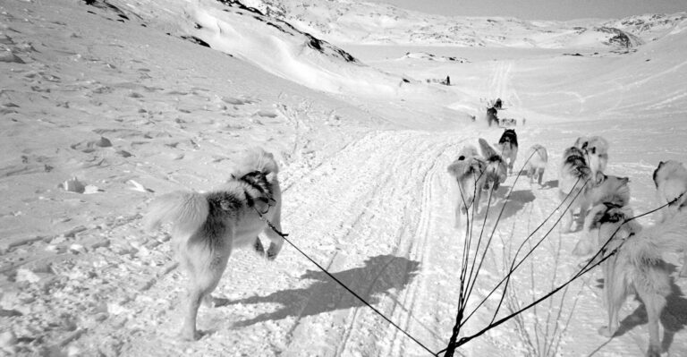 c1261aeb 6d1c 4a51 9a74 bb90f334f924 768x399